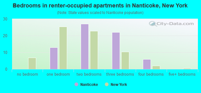 Bedrooms in renter-occupied apartments in Nanticoke, New York