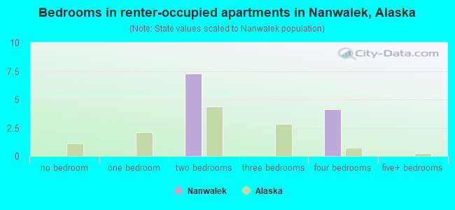 Bedrooms in renter-occupied apartments in Nanwalek, Alaska