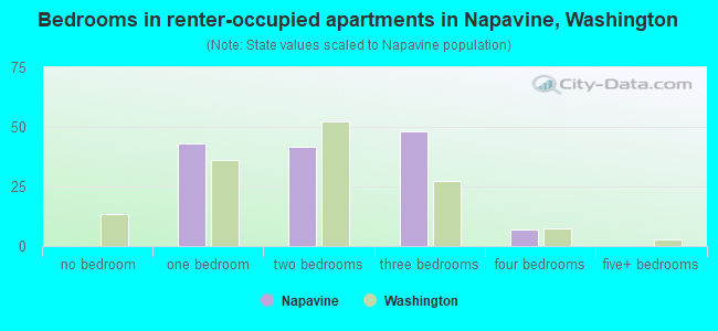 Bedrooms in renter-occupied apartments in Napavine, Washington