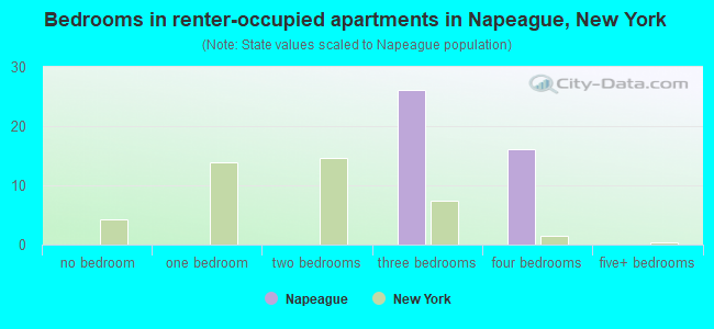 Bedrooms in renter-occupied apartments in Napeague, New York