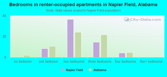 Bedrooms in renter-occupied apartments in Napier Field, Alabama