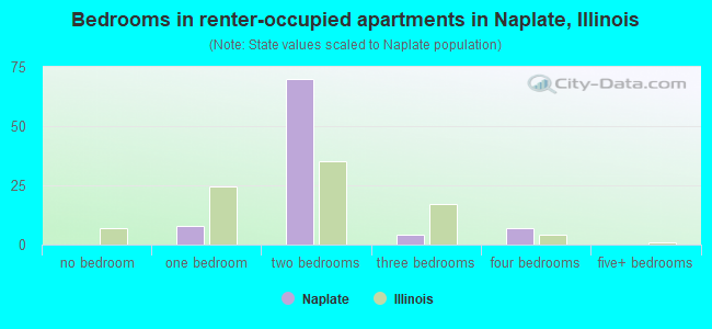 Bedrooms in renter-occupied apartments in Naplate, Illinois