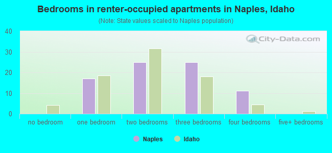 Bedrooms in renter-occupied apartments in Naples, Idaho