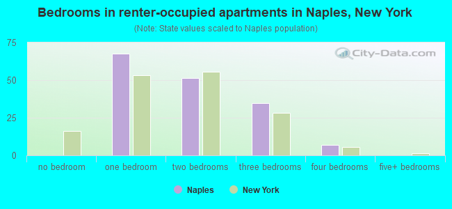 Bedrooms in renter-occupied apartments in Naples, New York