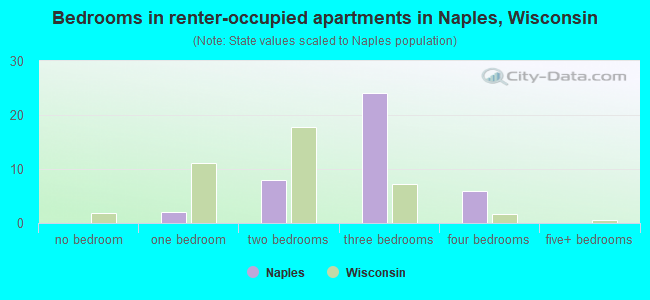 Bedrooms in renter-occupied apartments in Naples, Wisconsin