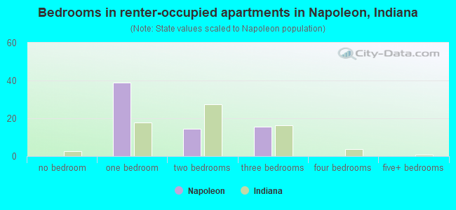 Bedrooms in renter-occupied apartments in Napoleon, Indiana