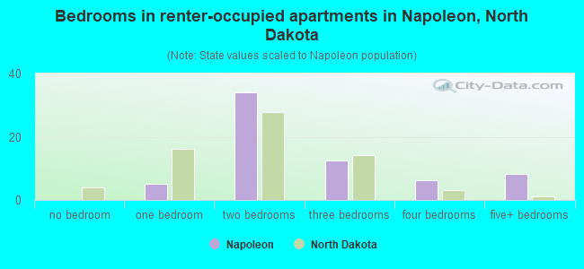 Bedrooms in renter-occupied apartments in Napoleon, North Dakota