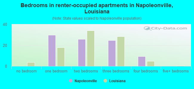 Bedrooms in renter-occupied apartments in Napoleonville, Louisiana