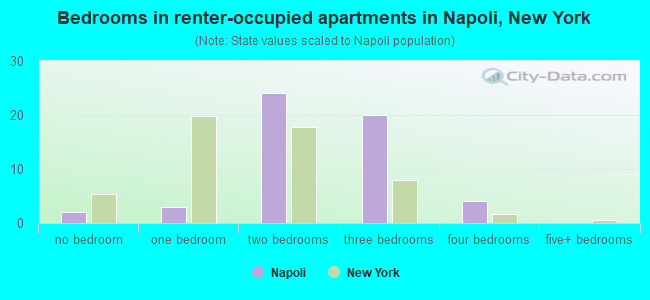 Bedrooms in renter-occupied apartments in Napoli, New York