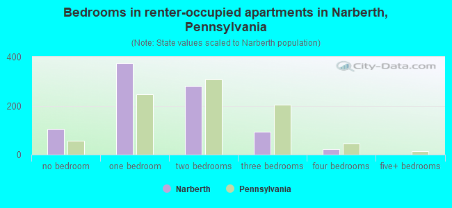 Bedrooms in renter-occupied apartments in Narberth, Pennsylvania