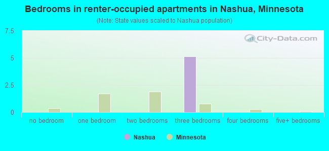 Bedrooms in renter-occupied apartments in Nashua, Minnesota