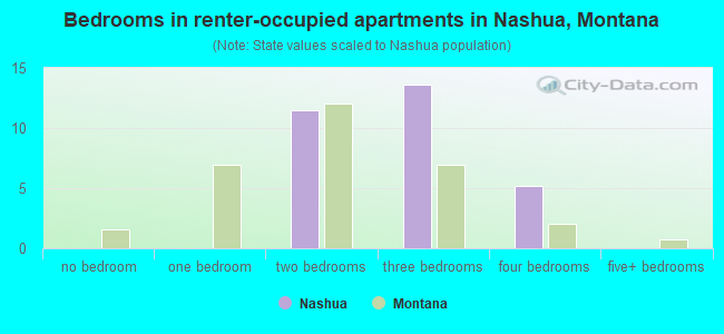 Bedrooms in renter-occupied apartments in Nashua, Montana