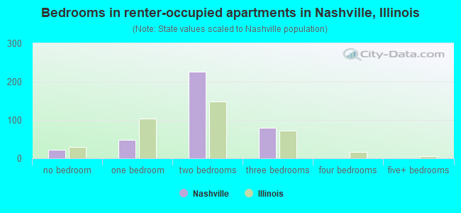 Bedrooms in renter-occupied apartments in Nashville, Illinois