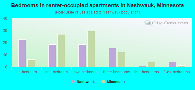Bedrooms in renter-occupied apartments in Nashwauk, Minnesota