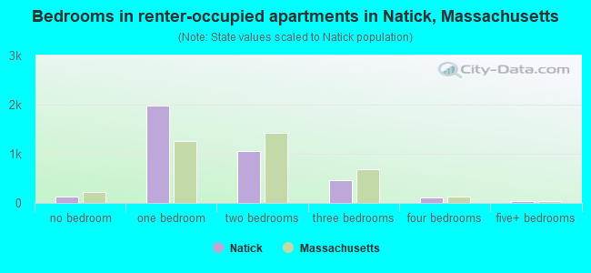 Bedrooms in renter-occupied apartments in Natick, Massachusetts