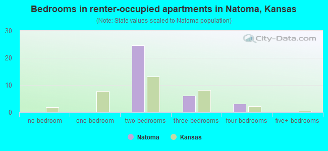 Bedrooms in renter-occupied apartments in Natoma, Kansas