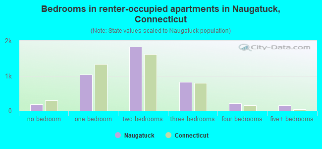 Bedrooms in renter-occupied apartments in Naugatuck, Connecticut