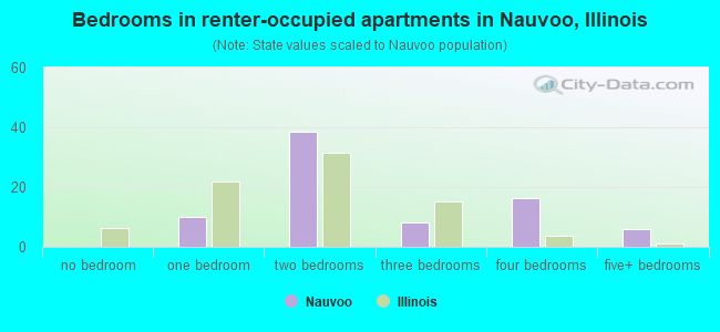 Bedrooms in renter-occupied apartments in Nauvoo, Illinois