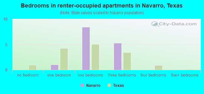 Bedrooms in renter-occupied apartments in Navarro, Texas