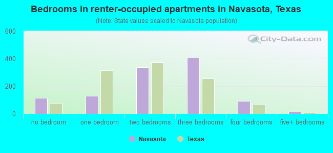 Bedrooms in renter-occupied apartments in Navasota, Texas