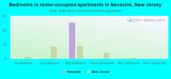 Bedrooms in renter-occupied apartments in Navesink, New Jersey