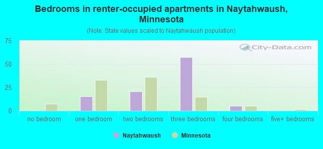 Bedrooms in renter-occupied apartments in Naytahwaush, Minnesota