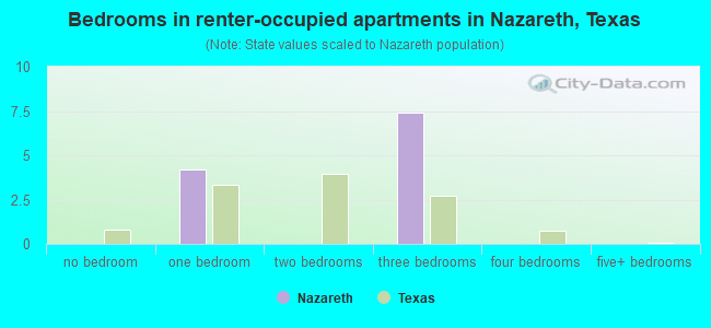 Bedrooms in renter-occupied apartments in Nazareth, Texas