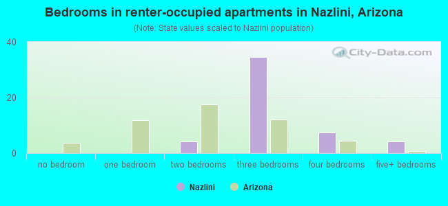 Bedrooms in renter-occupied apartments in Nazlini, Arizona