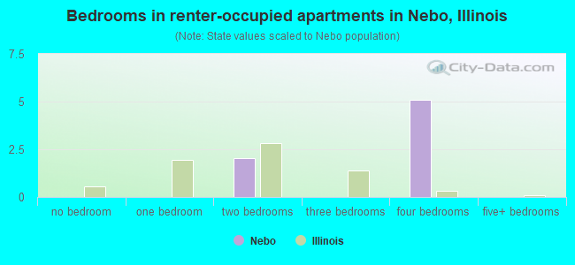 Bedrooms in renter-occupied apartments in Nebo, Illinois