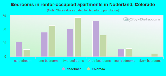 Bedrooms in renter-occupied apartments in Nederland, Colorado