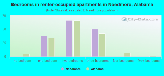 Bedrooms in renter-occupied apartments in Needmore, Alabama