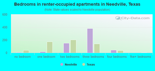 Bedrooms in renter-occupied apartments in Needville, Texas