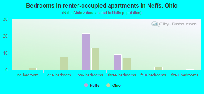 Bedrooms in renter-occupied apartments in Neffs, Ohio