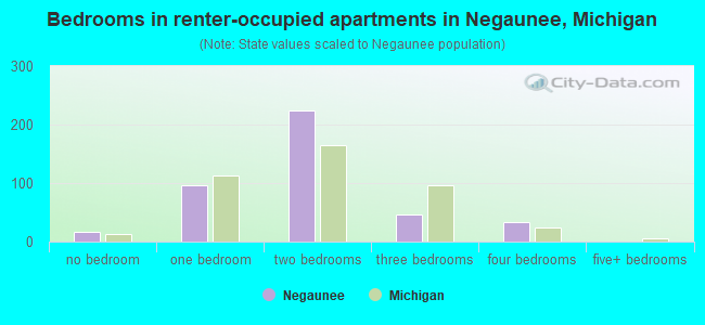 Bedrooms in renter-occupied apartments in Negaunee, Michigan