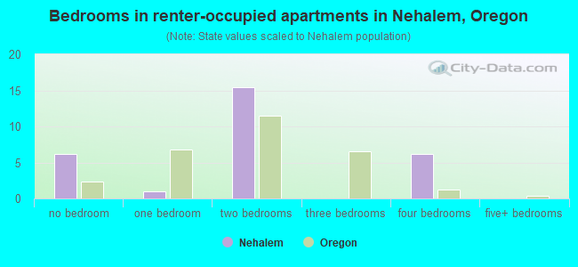 Bedrooms in renter-occupied apartments in Nehalem, Oregon