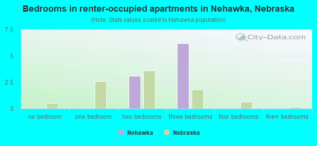 Bedrooms in renter-occupied apartments in Nehawka, Nebraska