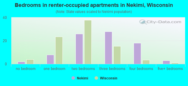 Bedrooms in renter-occupied apartments in Nekimi, Wisconsin
