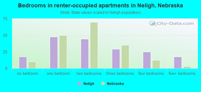 Bedrooms in renter-occupied apartments in Neligh, Nebraska