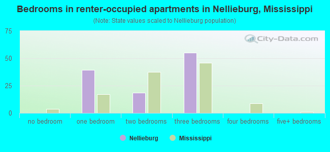 Bedrooms in renter-occupied apartments in Nellieburg, Mississippi