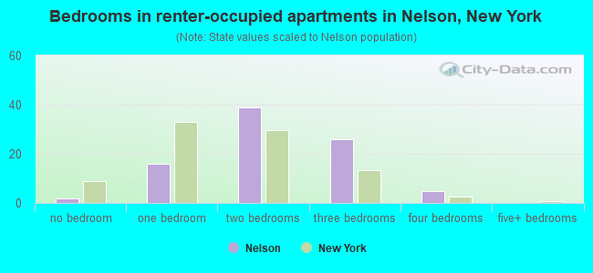 Bedrooms in renter-occupied apartments in Nelson, New York