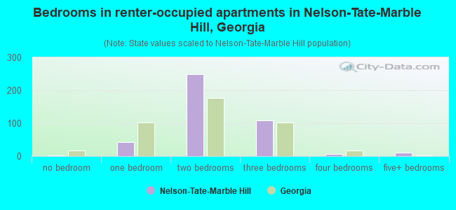 Bedrooms in renter-occupied apartments in Nelson-Tate-Marble Hill, Georgia