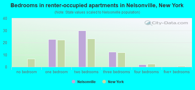 Bedrooms in renter-occupied apartments in Nelsonville, New York