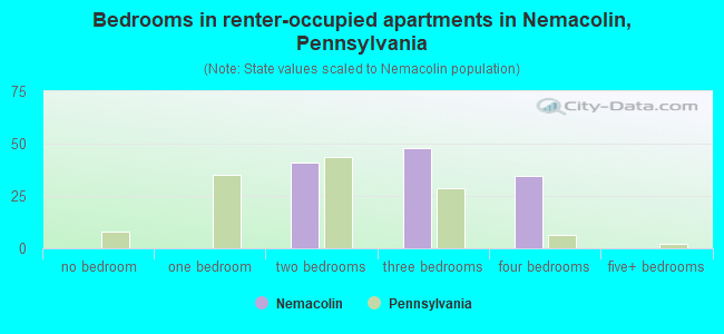 Bedrooms in renter-occupied apartments in Nemacolin, Pennsylvania