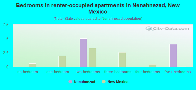 Bedrooms in renter-occupied apartments in Nenahnezad, New Mexico