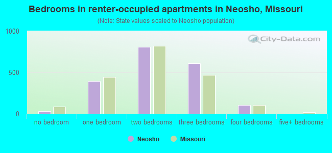 Bedrooms in renter-occupied apartments in Neosho, Missouri