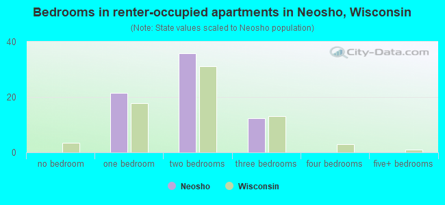 Bedrooms in renter-occupied apartments in Neosho, Wisconsin
