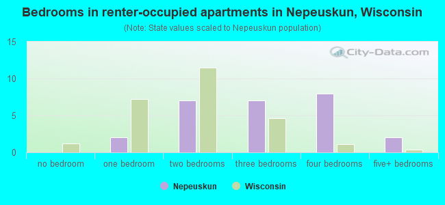 Bedrooms in renter-occupied apartments in Nepeuskun, Wisconsin