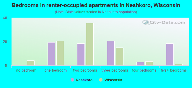Bedrooms in renter-occupied apartments in Neshkoro, Wisconsin