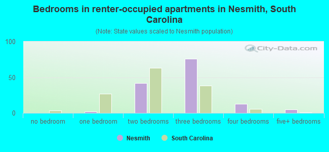 Bedrooms in renter-occupied apartments in Nesmith, South Carolina