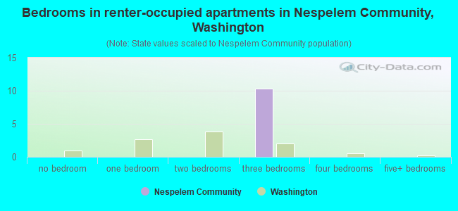 Bedrooms in renter-occupied apartments in Nespelem Community, Washington